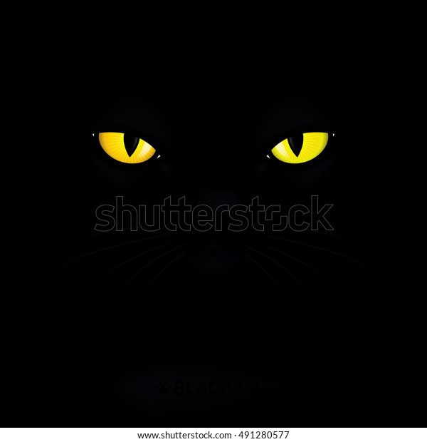 Image Vectorielle De Stock De Jaune Yeux La Nuit Chat Noir