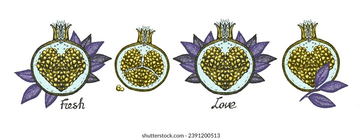 Yellow fairy pomegranates graphic vector sketches, pomegranates symbols with heart shaped seeds inside