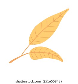 Yellow fall leaf illustration with a clean, minimalist design. Ideal for seasonal content, botanical themes, and bright, playful autumn visuals focused on nature.