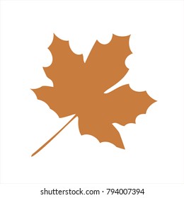 yellow fall leaves 