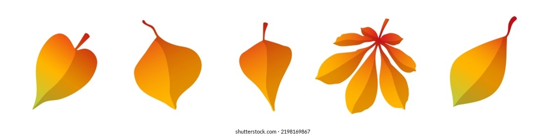Yellow Fallen Leaves. Autumn Leaves. Leaves Set. Vector Clipart Isolated On White Background.