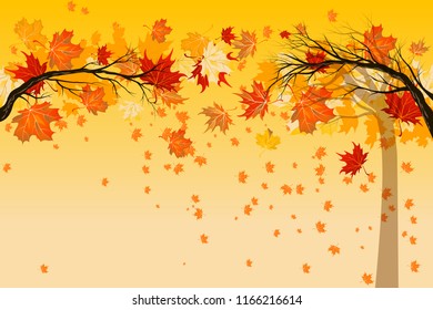 Yellow falling leaves