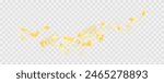 Yellow falling rose or sunflowers petals.Transparent panoramic horizontal background.Amber flower spring template.