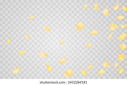 Yellow falling rose or sunflowers petals.Transparent panoramic horizontal background.Amber flower spring template.