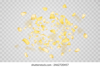 Yellow falling rose or sunflowers petals.Transparent panoramic horizontal background.Amber flower spring template.