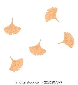yellow fan leaf  dry palm fan leaf image design