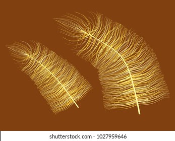 Yellow Feather Floating. Beautiful Hand Drawn Fluff. Feathers Isolated for Wallpaper, Illustration, Carnival, Masquerade, Invitation, Textile. Decoration Element for Your Design.