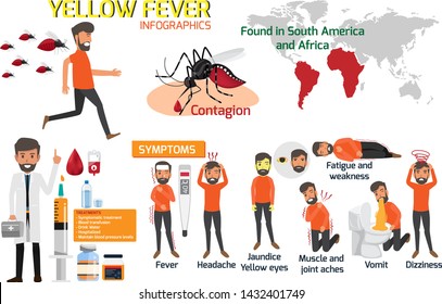 Yellow Fever Infographic Elements. Symptoms, Preventions And Treatment Yellow Fever Or Dengue. Dangerous Mosquito. Outbreak From Mosquito. There Is An Outbreak In South America And Africa. Vector.