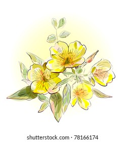 yellow field flowers