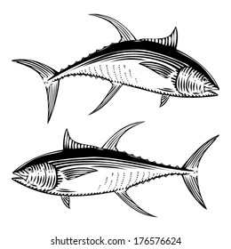 Yellow Fin Tuna