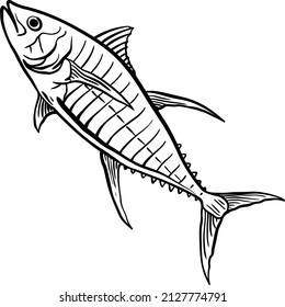 Yellow Fin Tuna Outline Sketch Hand Drawn Design Vector Illustration 