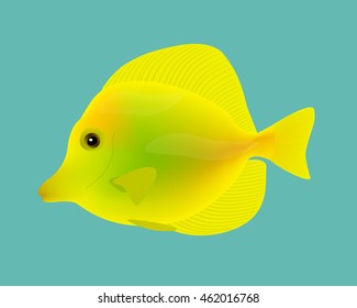 Yellow fish on a blue background. Vector Illustration