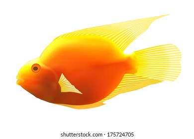 Yellow fish. Vector illustration