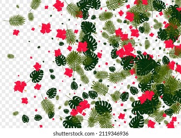 Yellow Flora Background Transparent Vector. Tree Artwork Frame. Pink Philodendron. Garden Pattern. Red Surf Design.