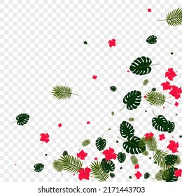 Yellow Flora Background Transparent Vector. Leaves Bright Frame. Orange Leaf. Style Backdrop. Red Graphic Card.