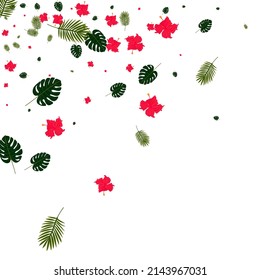 gelber floraler Hintergrund, weißer Vektorgrafik. Monstera Realistischer Rahmen. rosafarbenes Leaf. Hawaii Textur. Hellgrüner Aloha-Hintergrund.