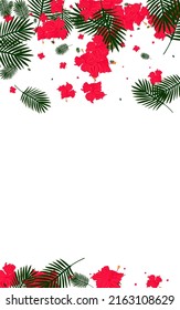 Yellow Flora Background White Vector. Leaves Holiday Frame. Green Flower. Brazil Pattern. Orange Silhouette Card.