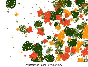 Yellow Flora Background White Vector. Tree Artwork Frame. Light Green Strelitzia. Aloha Illustration. Red Graphic Texture.