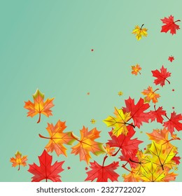 Yellow Floral Background Green Vector. Plant November Design. Autumnal Down Foliage. Decoration Leaf Illustration.