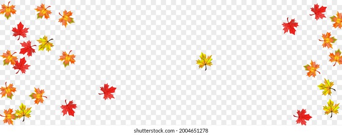 Yellow Floral Background Transparent Vector. Leaves Realistic Design. Autumnal Tree Foliage. Ground Plant Card.