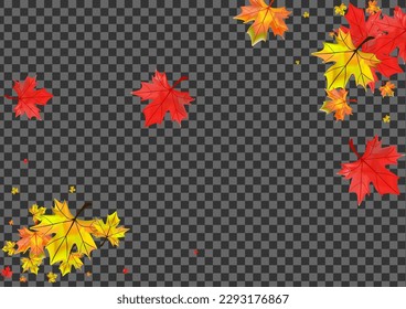 Yellow Floral Background Transparent Vector. Foliage Isolated Design. Colorful Decor Leaf. Canadian Plant Illustration.