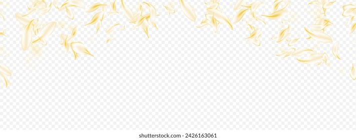 Fondo transparente panorámico del vector del desenfoque floral amarillo. Textura de pétalo de otoño beige. Plantilla de verano de rosa blanca. Papel pintado de la mosca del melocotón. Patrón de Sakura tierno.