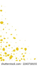 Yellow Floral Blur Vector White Background. Beauty Rose Frame. Canary Lotus Flying Wallpaper. Gold Flower Summer Poster.