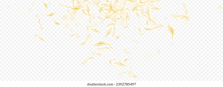 Yellow Floral Fall Vector Panoramic Transparent Background. Gold Summer Flower Frame. Beige Sakura Japan Texture. Delicate Lotus Beauty Wallpaper. Falling Cherry Template.