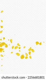 gelber floraler Fliegenvektor, transparenter Hintergrund. Fallende Rose Vorlage. Amber Blossom Tender Banner. Lemon Lotus Blur Tapete.