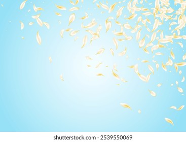 Yellow Floral Flying Vector Blue Background. Gold Japan Flower Design. Beige Petal Tender Backdrop. Delicate Sakura Japanese Illustration. Fly Rose Pattern.