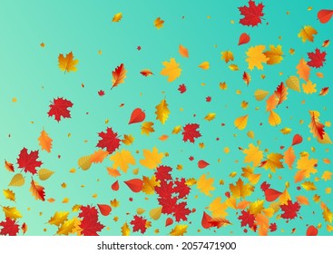 Yellow Floral Vector Blue Background. Celebrate Leaf Texture. Golden Beautiful Foliage Template. Canadian Illustration.