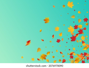 Yellow Floral Vector Blue Background. November Leaves Frame. Ocher Seasonal Leaf Template. Abstract Texture.