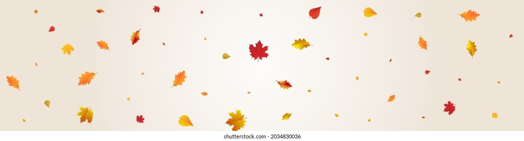 Yellow Floral Vector Grey Panoramic Background. Bright Plant Design. Brown Canadian Leaf Template. Decoration Card.
