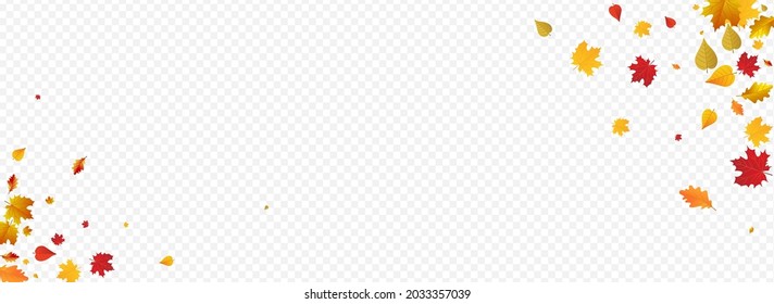 gelber, floraler Vektorgrafik, Panoramablick, transparenter Hintergrund. Abstrakte Leaves Illustration. Vorlage für grüne Pflanze. Saisonrahmen.