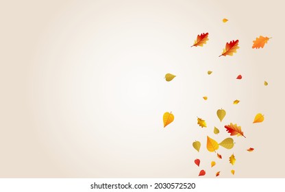 Yellow Floral Vector Transparent Background. Paper Leaves Template. Golden November Foliage Design. September Texture.