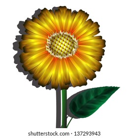 yellow flower