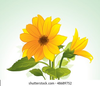 Yellow flower in bloom