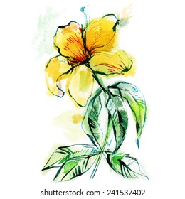 yellow flower/ branch/ watercolor sketch on white background/ vector illustration