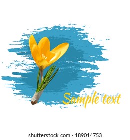 Yellow flower crocus on blue sky background