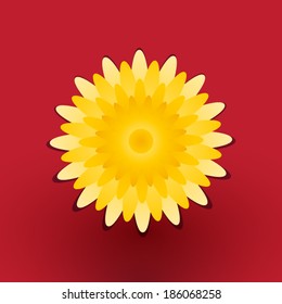 yellow flower of dandelion