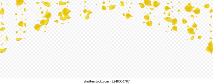 Gelbe Blume Herbst Vektorgrafik Panoramatransparenter Hintergrund. unscharfe Kirschtextur. goldener Rosenfrühlingshintergrund. Canary Floral Falling Illustration.