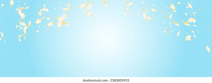 Yellow Flower Fall Vector Panoramic Blue Background. Beige Summer Rose Banner. Light Blossom Beauty Texture. White Floral Japanese Frame. Japan Lotus Poster.