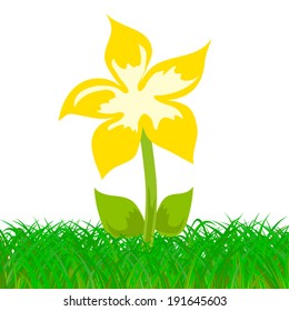 yellow flower in the grass