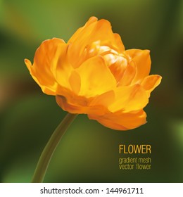 Yellow flower green back