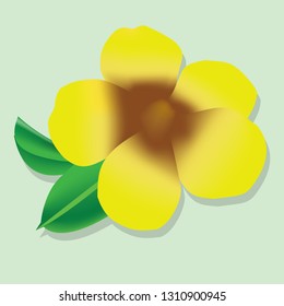 Yellow flower, green background bloom