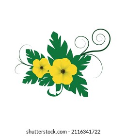 Yellow flower Hibiscus flower. Vector illustration.