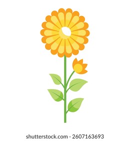 Yellow Flower Illustration with Bud - Flat Design Vector