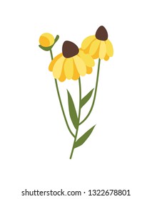 Yellow flower isolated icon vector, 8 march flora decoration. Holiday celebration, spring botanical element, thing to ornate. Bouquet blossom with petals