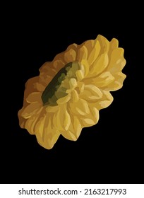 Yellow flower isolated on black background, vector graphic, textile and paper print.