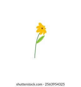 Yellow Flower Isolated on White Background. Simple composition with artistic flowers. Vector Illustration